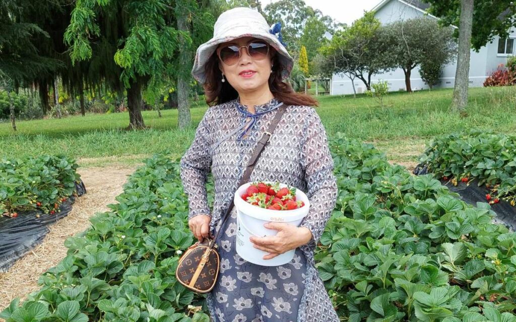 Me and My Wife Picking Strawberries