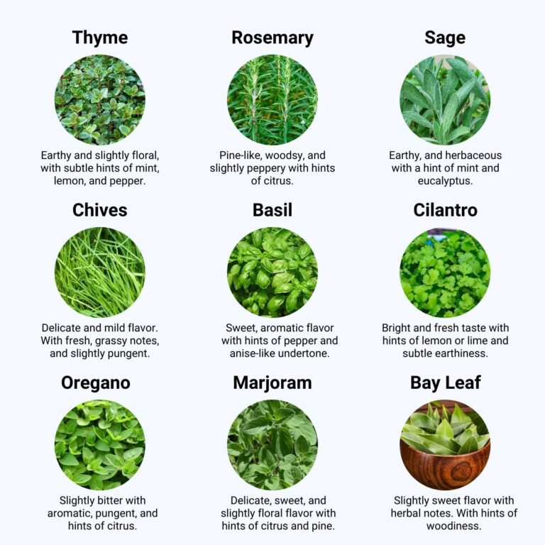Cooking With Fresh Herbs